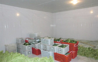 500-1000 Tons Fruits And Vegetables Freezer Cold Room with Swing door