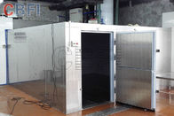 Walk In Cold Storage Blast Chiller Freezer With Color Steel , Stainless Steel Panels