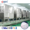 CBFI 제빙 시스템을 위한 기계를 만드는 맞춤형 5 톤 산업용 아이스 큐브